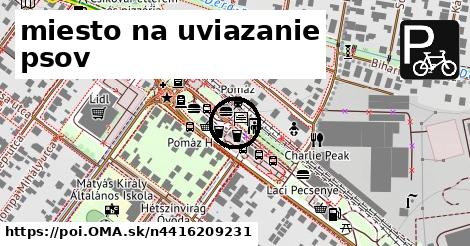 miesto na uviazanie psov