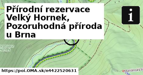 Přírodní rezervace Velký Hornek, Pozoruhodná příroda u Brna