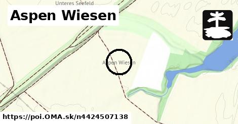 Aspen Wiesen