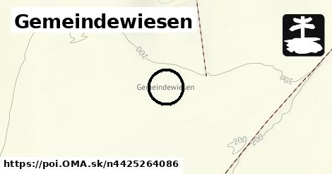 Gemeindewiesen
