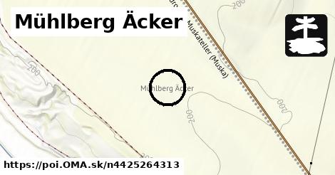 Mühlberg Äcker