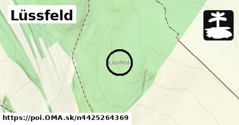 Lüssfeld