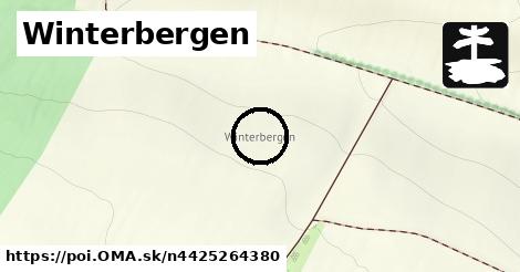Winterbergen