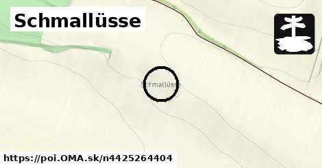 Schmallüsse