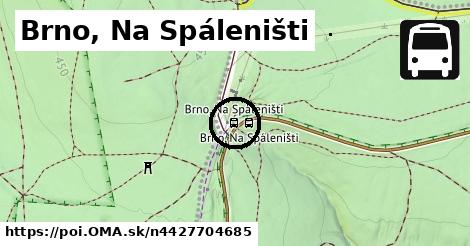 Brno, Na Spáleništi