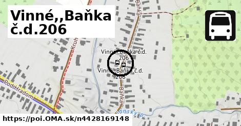 Vinné,,Baňka č.d.206