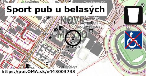 Sport pub u belasých