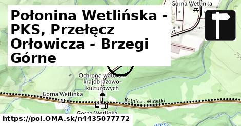 Połonina Wetlińska - PKS, Przełęcz Orłowicza - Brzegi Górne