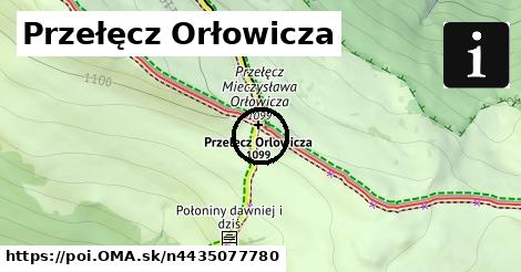 Przełęcz Orłowicza