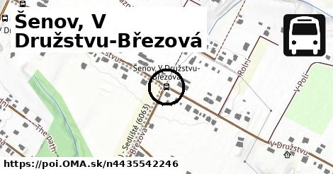 Šenov, V Družstvu-Březová