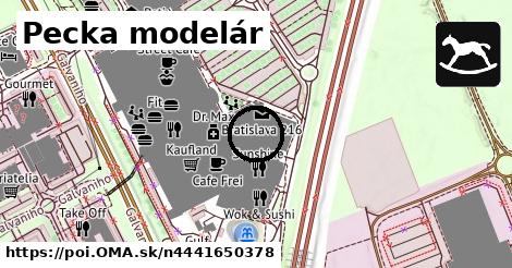 Pecka modelár