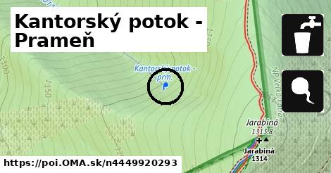 Kantorský potok - Prameň