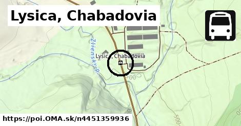 Lysica, Chabadovia