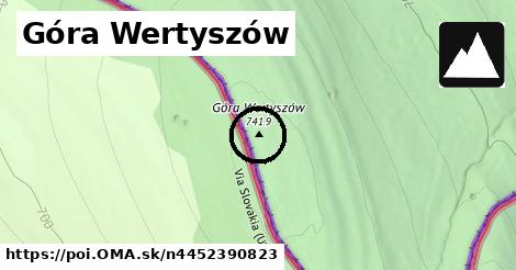 Góra Wertyszów