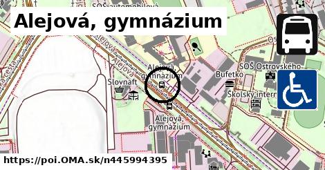 Alejová, gymnázium