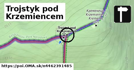 Trojstyk pod Krzemiencem