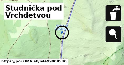 Studnička pod Vrchdetvou