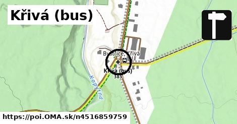 Křivá (bus)