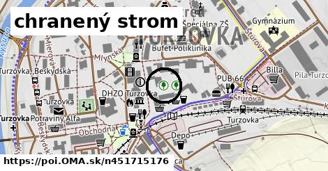 chranený strom