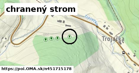 chranený strom