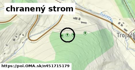 chranený strom