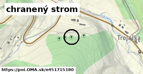 chranený strom