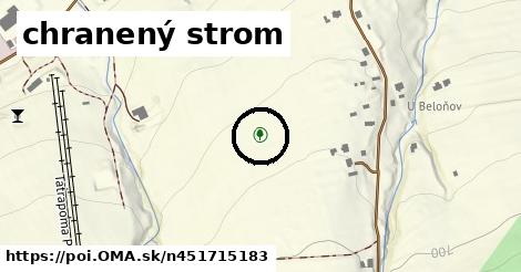 chranený strom