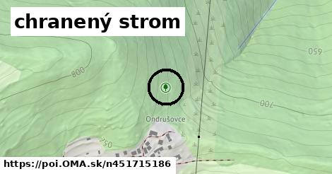 chranený strom