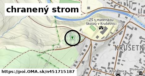 chranený strom