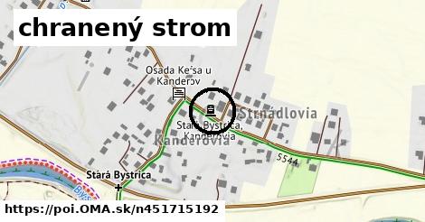 chranený strom