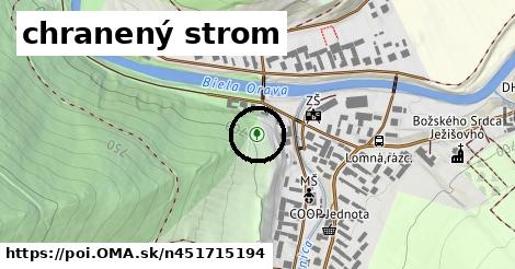 chranený strom