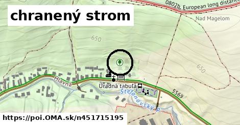 chranený strom