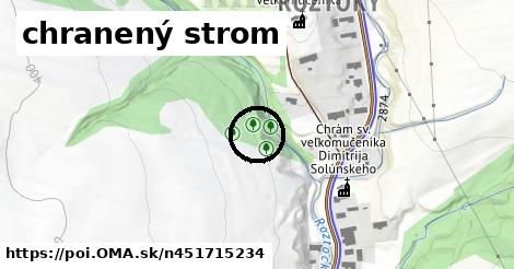 chranený strom