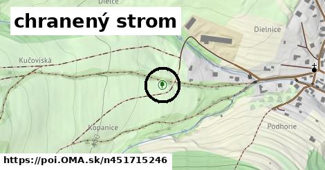 chranený strom