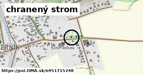 chranený strom