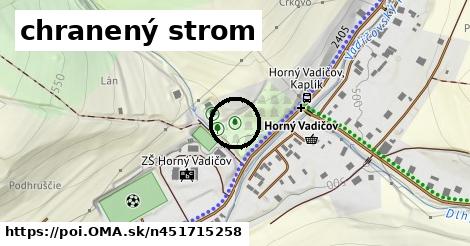 chranený strom