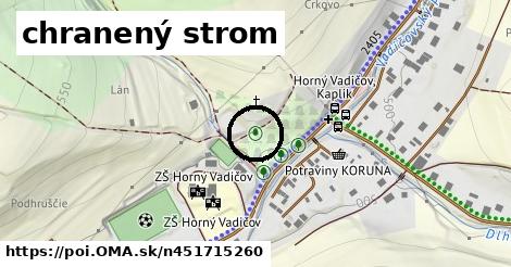 chranený strom