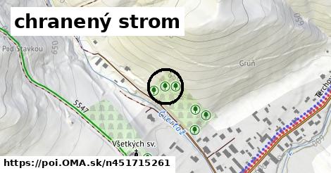 chranený strom