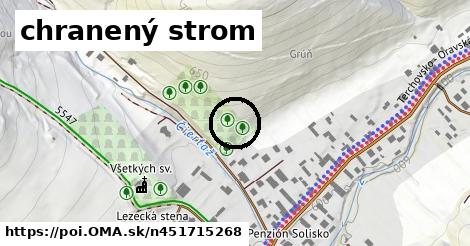 chranený strom