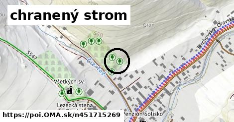 chranený strom