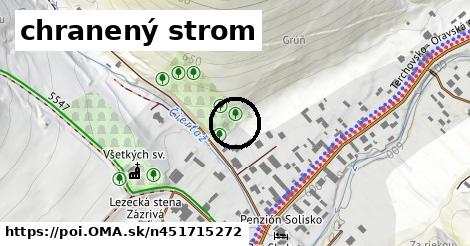 chranený strom