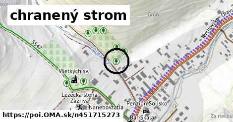 chranený strom