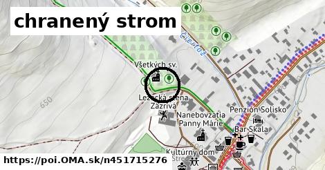 chranený strom