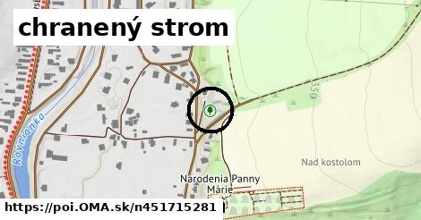 chranený strom