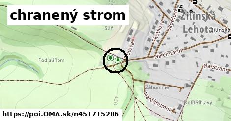 chranený strom