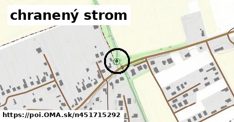 chranený strom