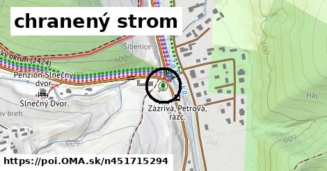 chranený strom