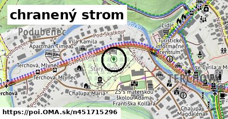 chranený strom