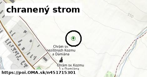 chranený strom