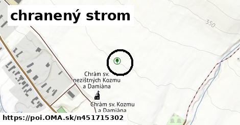 chranený strom